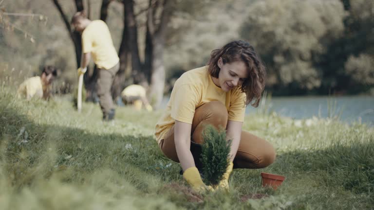 Best Lawn Mowing  in Roslyn Heights, NY