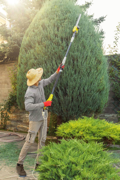 Best Lawn Pest Prevention  in Roslyn Heights, NY